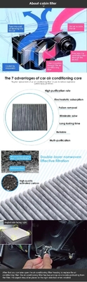 Numer odniesienia: S1662 OE 96800069 Hape Carbon Automotive AC dla filtrów kabinowych Chevrolet